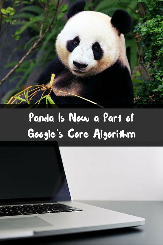 Panda is a part of Google Core Algorithm Updation